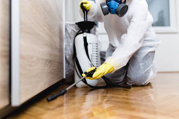 Best Pest Removal Services  in Waupaca, WI