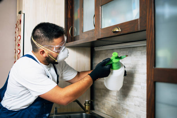 Pest Control for Restaurants in Waupaca, WI