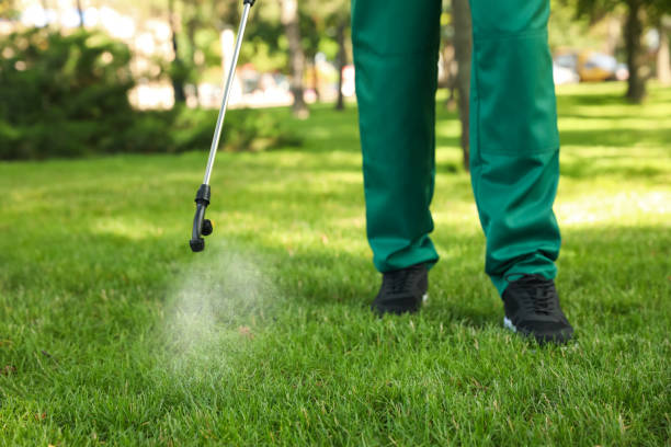 Best Rat Extermination Near Me  in Waupaca, WI