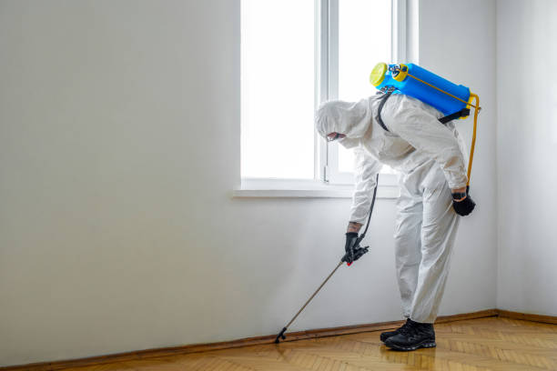 Best Cockroach Control Services  in Waupaca, WI