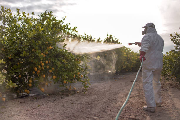 Best Exterminator Services  in Waupaca, WI