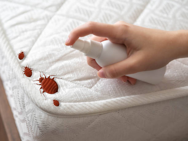 Best Mosquito Control Services  in Waupaca, WI