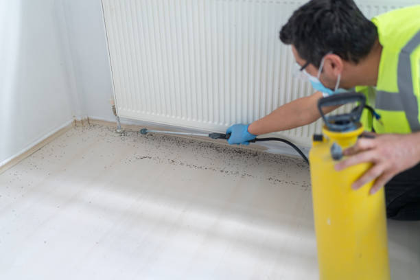 Best Bed Bug Extermination  in Waupaca, WI