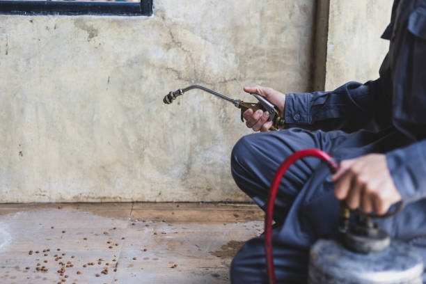 Best Commercial Pest Control Services  in Waupaca, WI