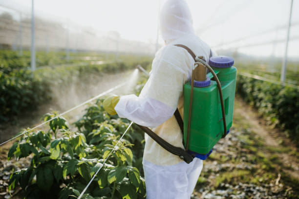 Best Affordable Pest Control Services  in Waupaca, WI